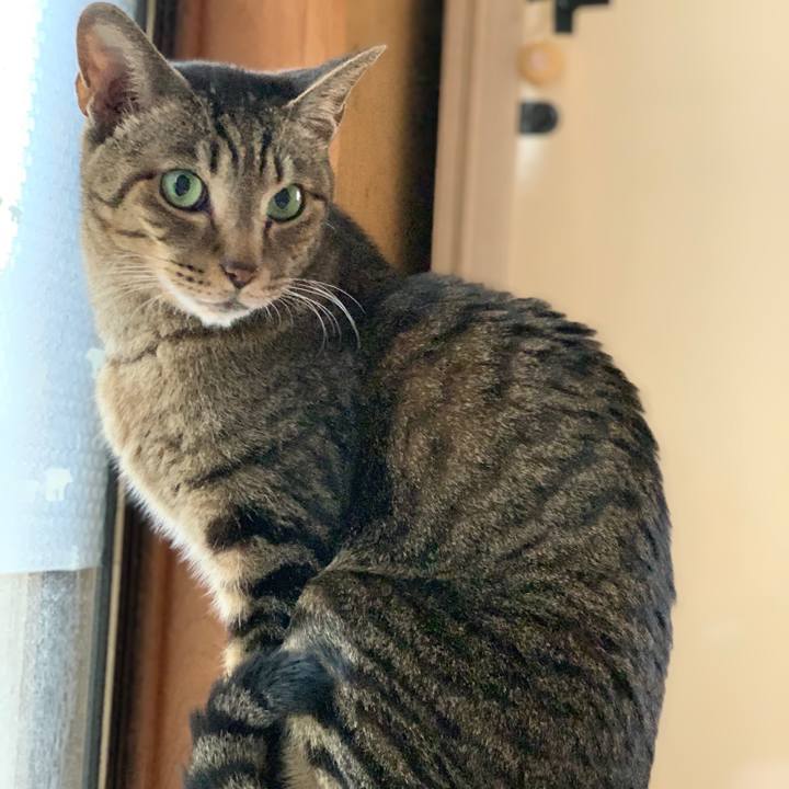 10483c9e c216 4d81 96c3 78df839d5fd2 1550280012308