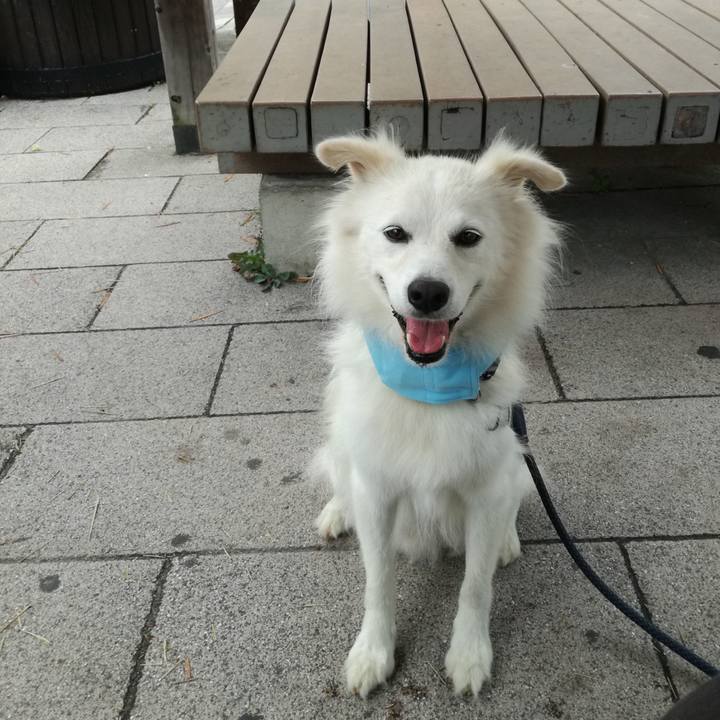 104872b6 0df9 4d0a 8bcb c11be485ba8a 1534406202437