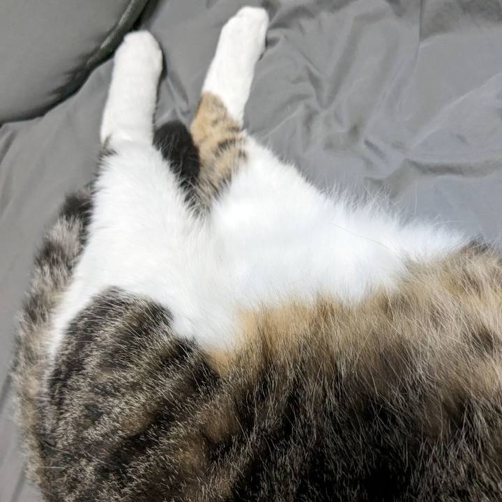 10487734 df59 4d38 a1b5 87b8278b4dd2 1686626606892