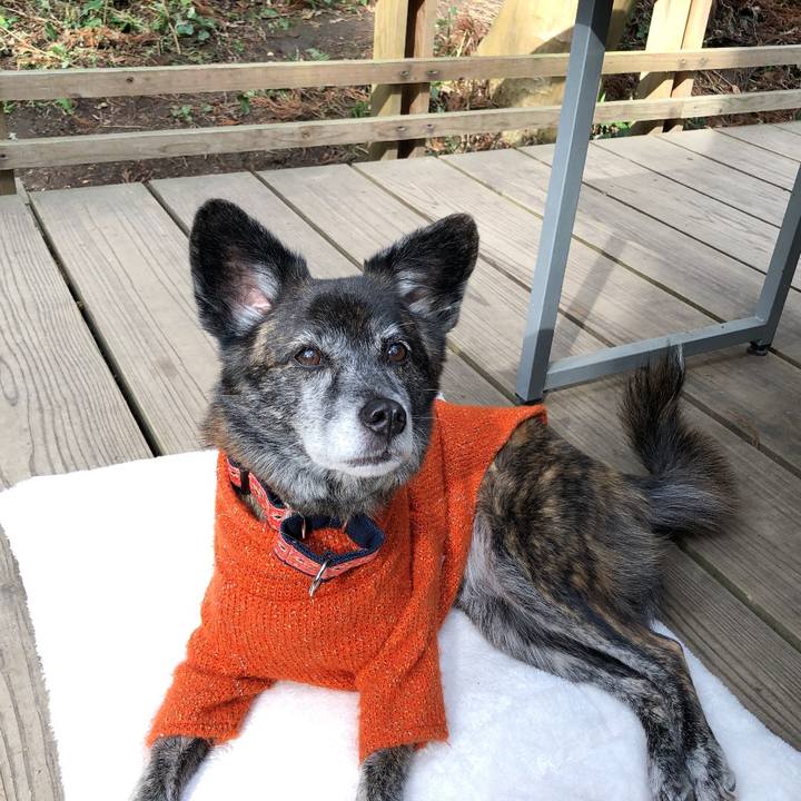 10487cde 9042 4068 ace0 30445b693f76 1670851689785