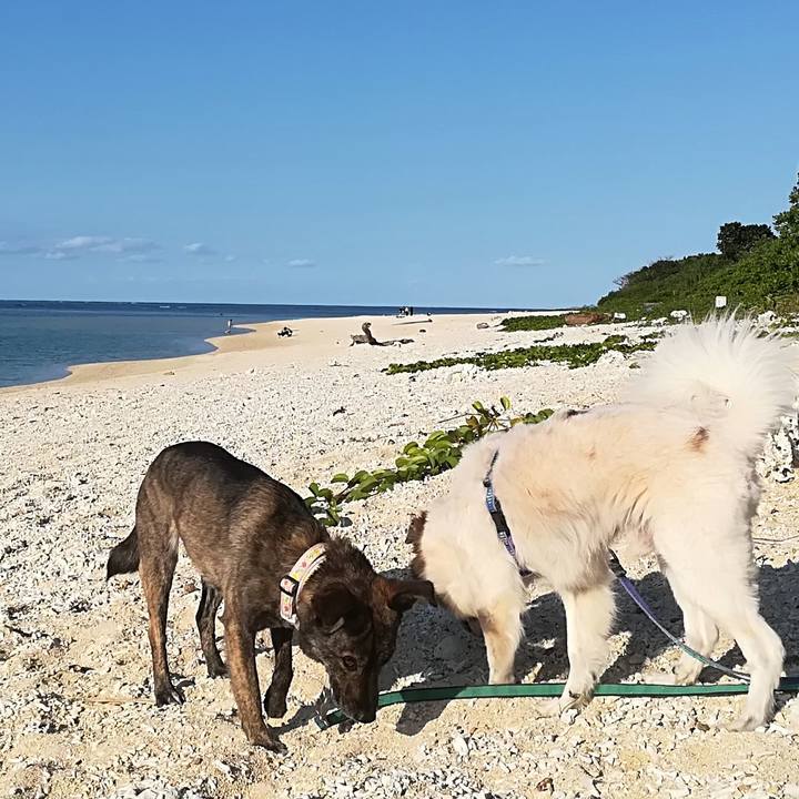 10489306 b03a 43df 824b 4f269d65282a 1580633803960