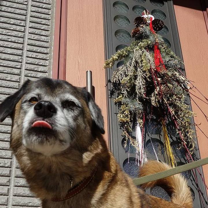 1048c66b 3e98 411e 87ee e960ae43130d 1514457623122