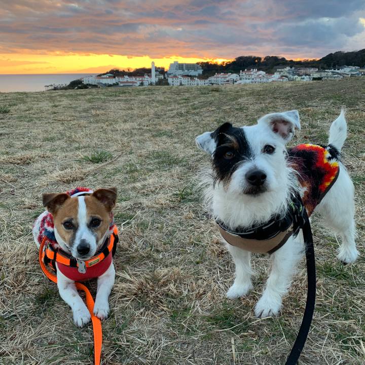 1048f595 cde5 4e82 9b18 11820c95a8fe 1549008118258