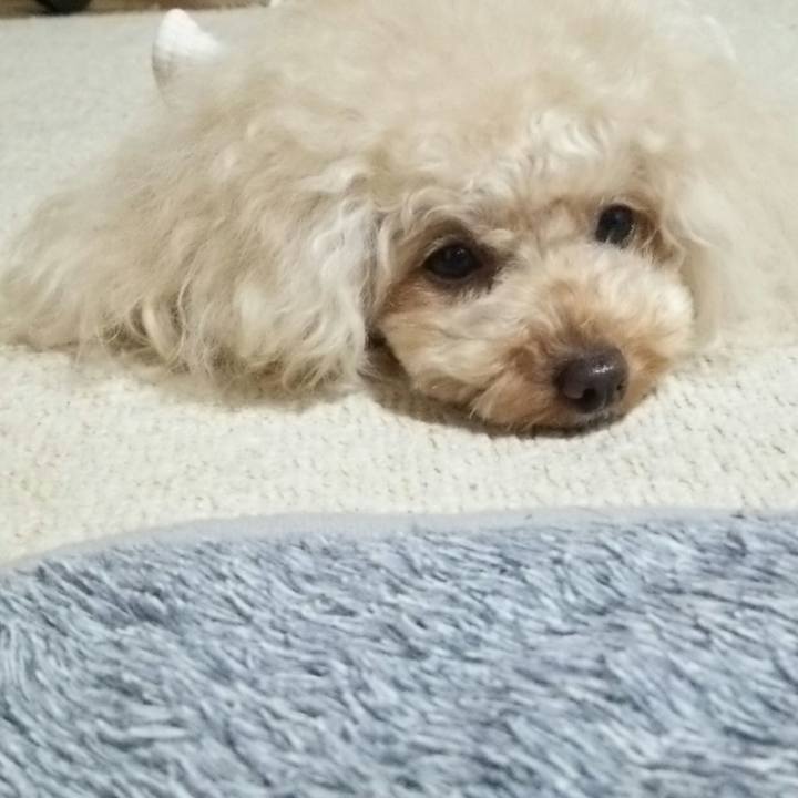 10490726 0987 4a40 93b9 2e68d2c869f6 1515333121229