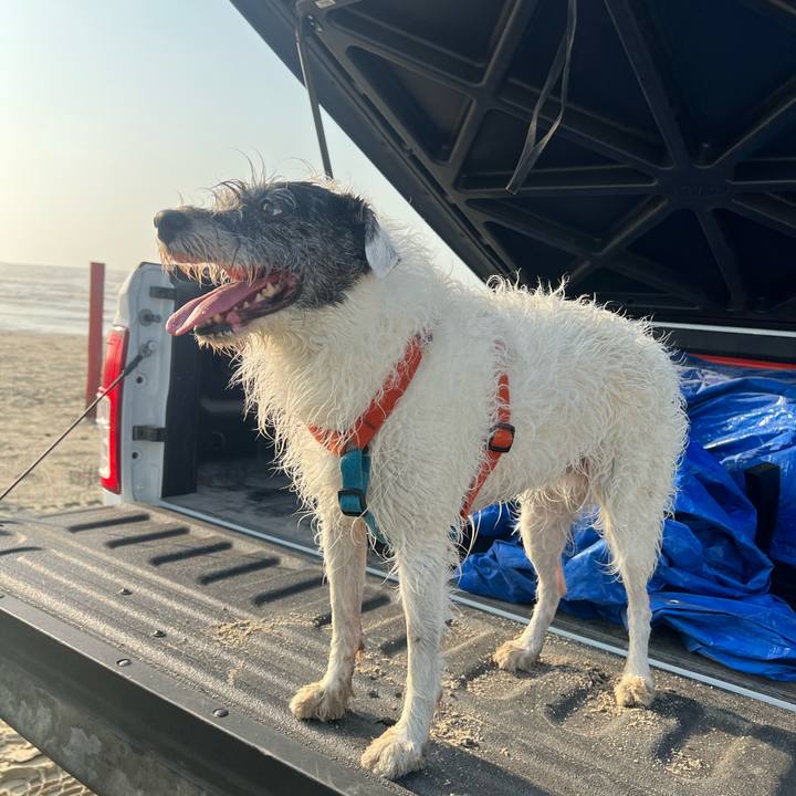 10491bad e40e 43f0 b299 04ea9166493d 1687385581784