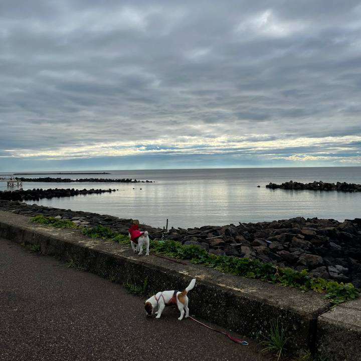 10492b62 edb8 41b8 b79e 4df1b3aec60d 1624091858406