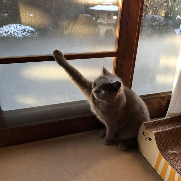 10499328 55d8 46a1 9a93 5c9ef97ee025 1608160852480