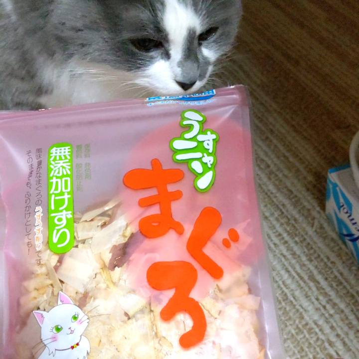 1049cf75 d8cf 45e7 a49b 3408029c2461 1611373973597