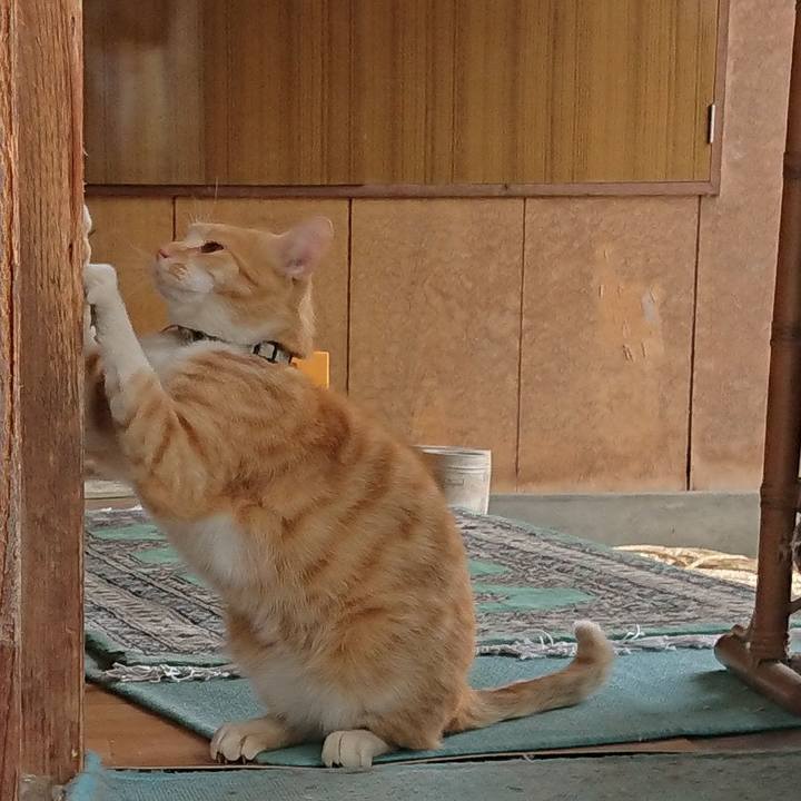 1049d1c7 22d3 42d3 ada2 0b819e2128e4 1589689920112