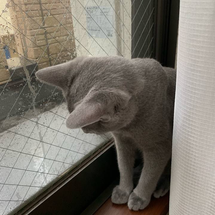 104a1204 a7ad 4702 af8c 30cd381c201c 1574832682426