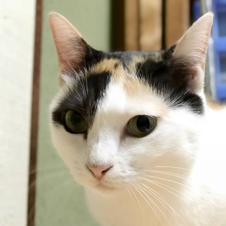 104a2bfe 63c0 49b1 b57a 2fb378a4f74b 1536991572276