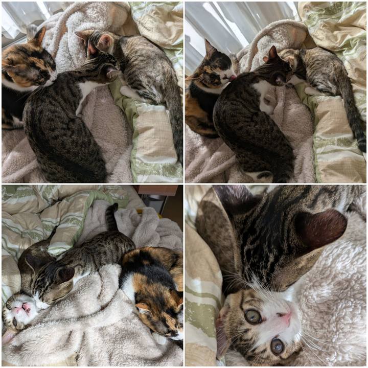 104a3e89 ab0f 4af5 bb50 0808697e9146 1730964521701