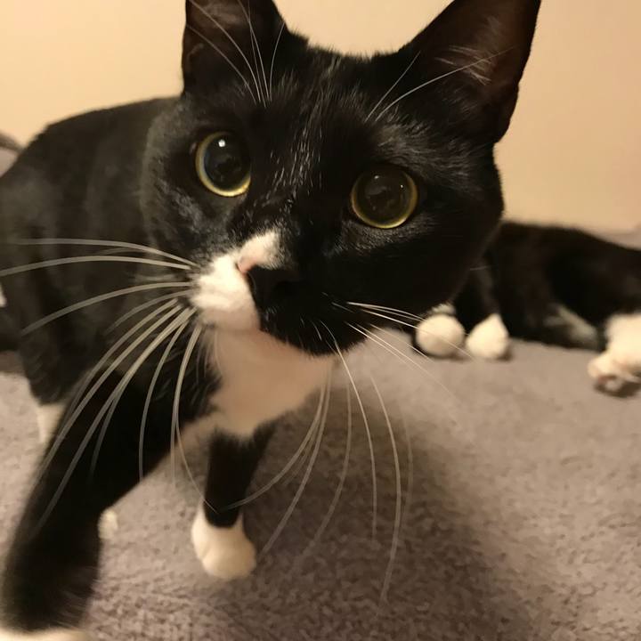 104a7240 1655 42b8 9070 028a129afc44 1520379442677