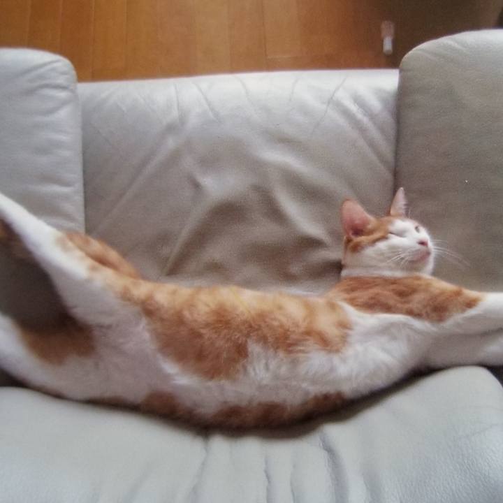 104a85ce 91a4 468a 86fb 9bbec2927866 1540645144857