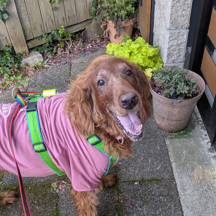 104a8f3b 2eb3 4720 ac25 4af411f9f065 1776896589075