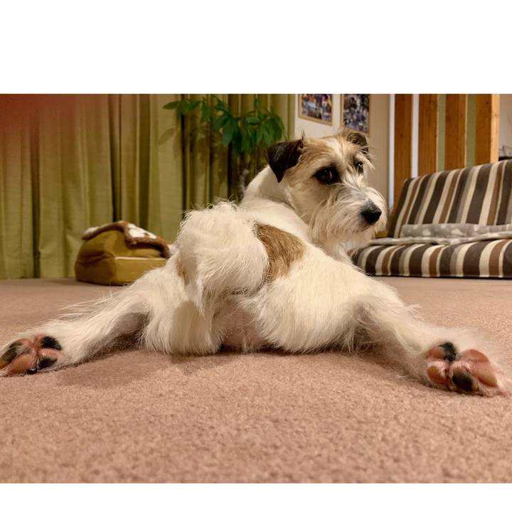 104b081e adef 46df 8289 1efbf091dbfa 1649333820647