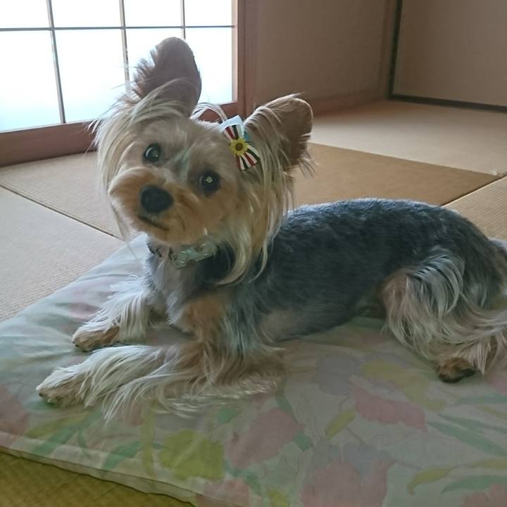 104b17c3 ad55 4c71 a8d2 dc14c9e4d7a8 1532432118661