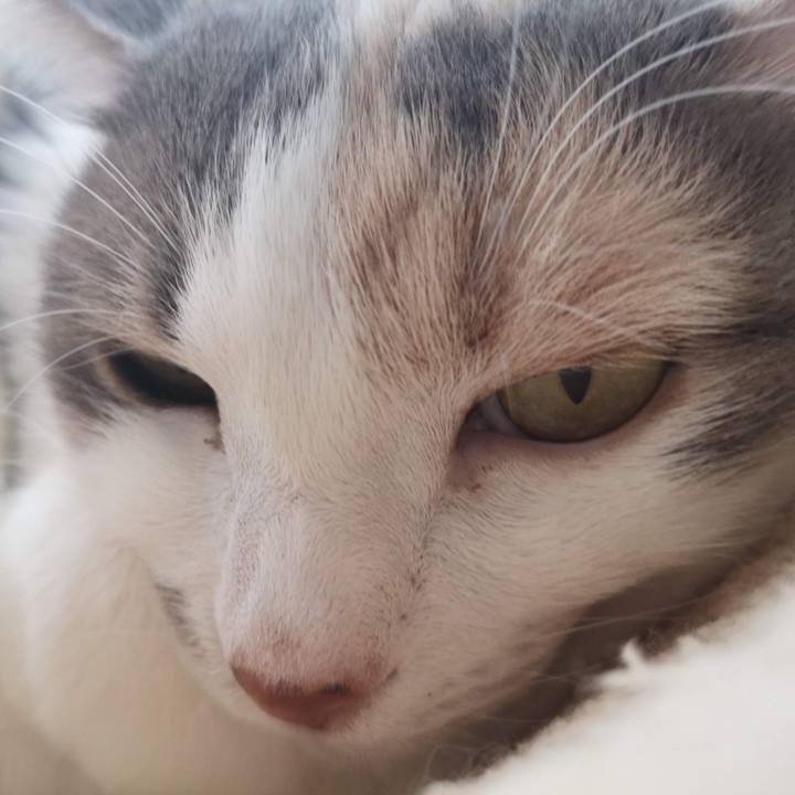 104b217f f15f 4eb1 b250 1bfc9db99678 1616386433843