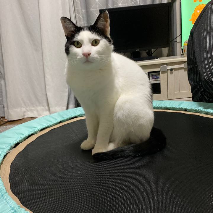 104b2d0e f081 4f00 8d28 64e89f8e2648 1644583163744