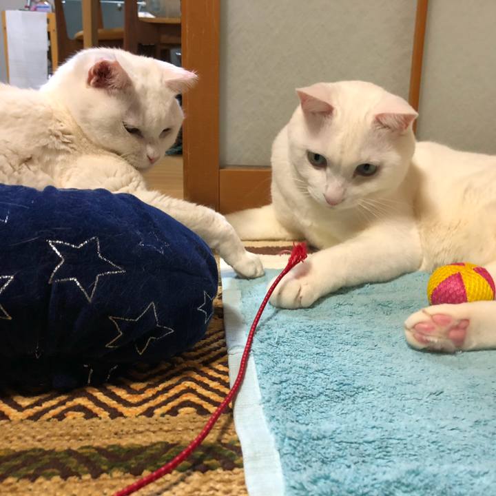 104b66f1 9d59 4984 9fa8 92c23012a332 1579683470322