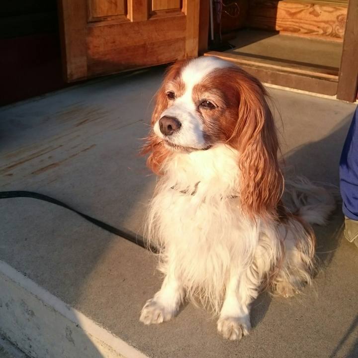 104b9076 16bf 48fd 8e00 f958fbe498e4 1524387476833