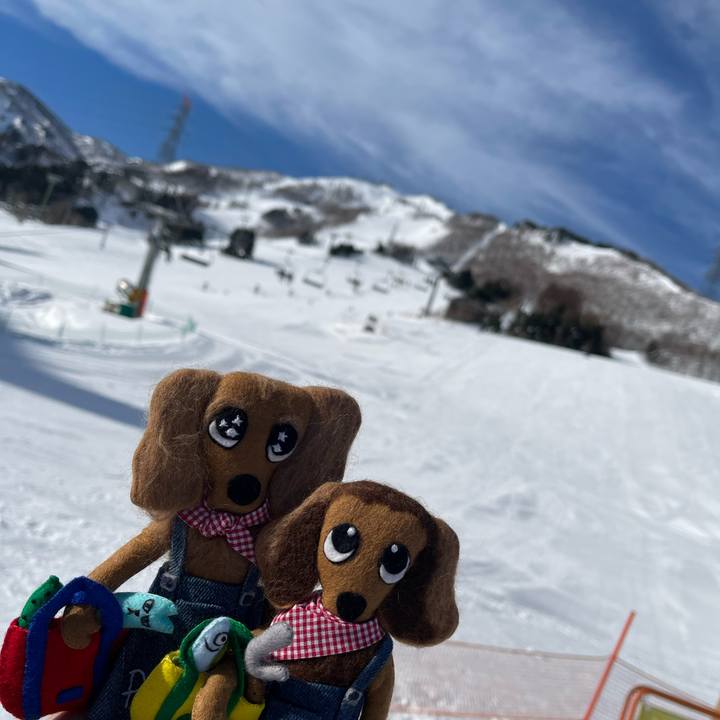 104b9e73 3e29 4866 8d5c 45152da235f2 1737346384790