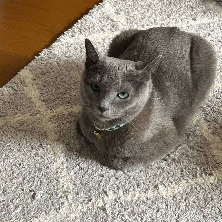 104bd251 19a5 40c1 becc 945d7d83986f 1721047941204