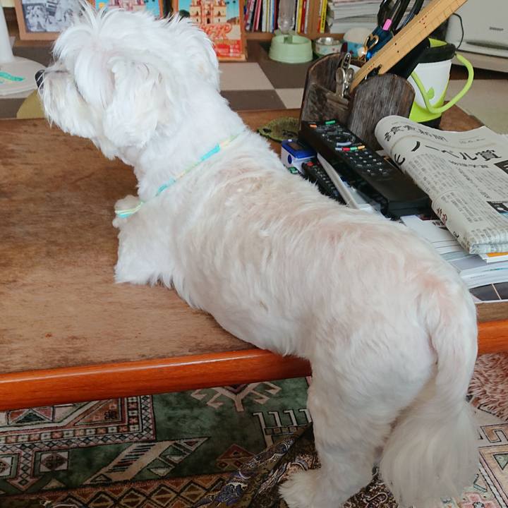 104be12a c797 4cd6 bee8 6cd69e574534 1633483889383