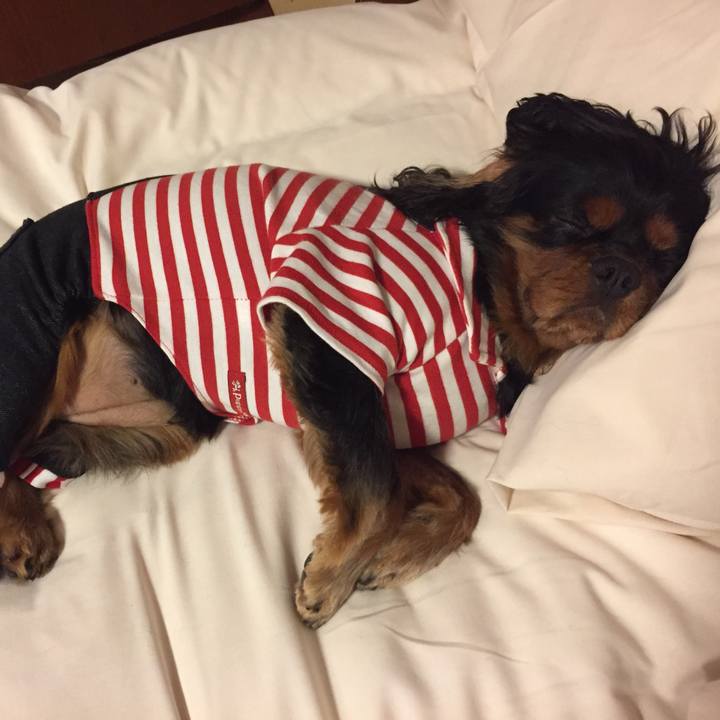 104c03ae a597 41e9 a7e6 c046fea6ac08 1511440882081