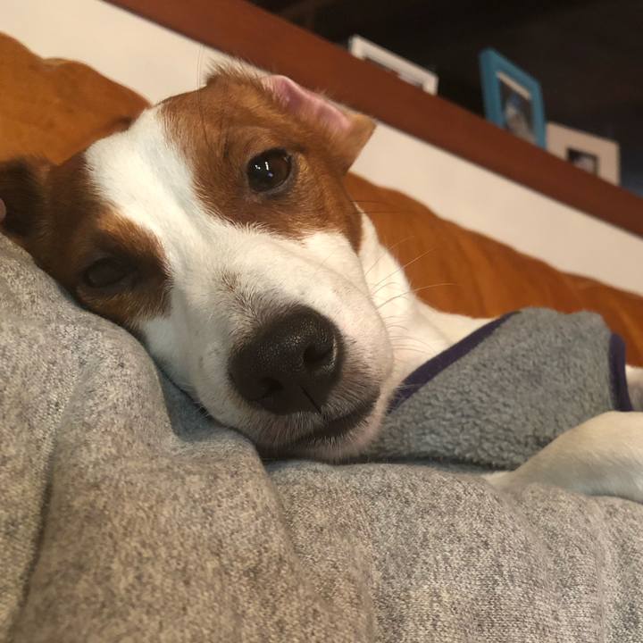 104c1e3c 076f 4745 9766 00e22d404f1d 1543995318232