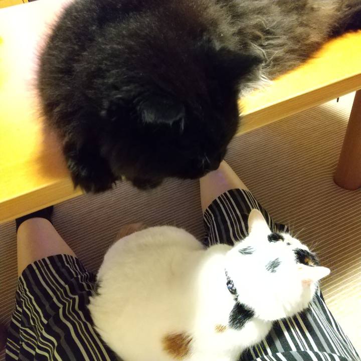 104c229a c0fc 4f07 a876 15e4f57f2215 1595941308901