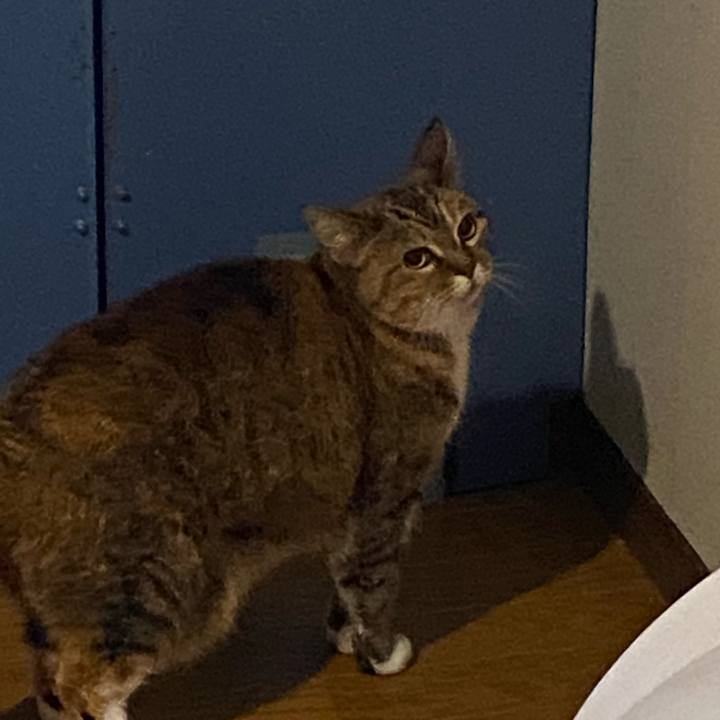 104c26b6 ffe7 44d8 a48a 461812a4494c 1677975183118