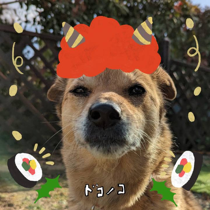 104c3707 9929 4863 ae12 0ee3c580bdbd 1706936979897