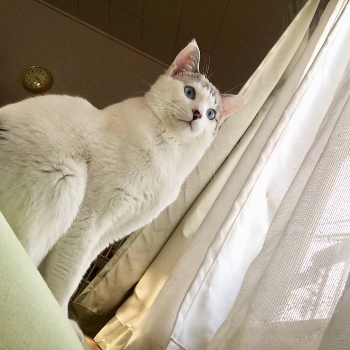 104c6d10 fea1 4716 9878 5bb53ac38d1d 1548397077461