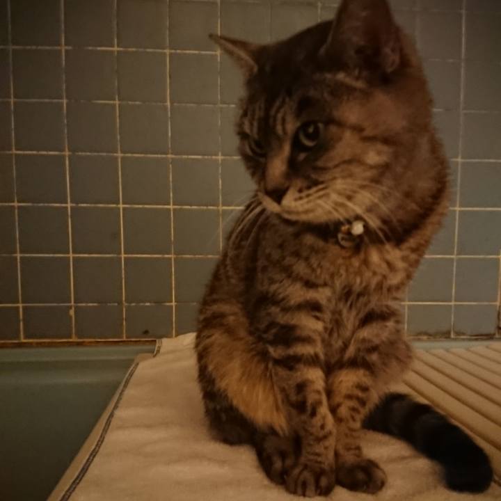 104c974c d888 4809 8b7b 75d542e938c1 1574844612655