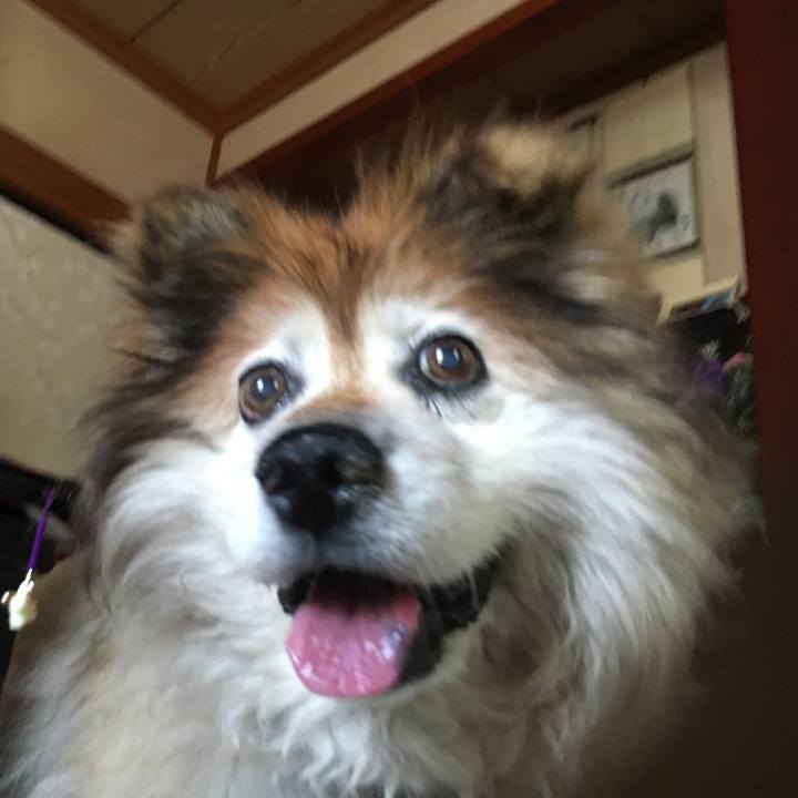 104ceede 7aa8 4889 9ba6 136a3843d1fb 1610086306268