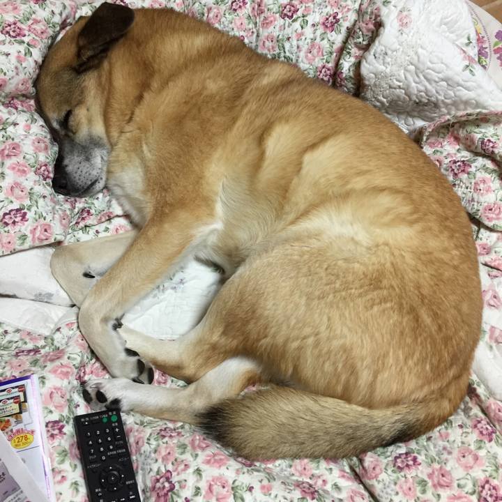 104cfa2b f7bc 4624 8e74 b304c3570cc4 1579778857356