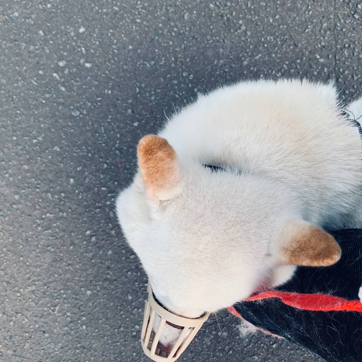 104d0639 53b6 4f49 800b 04c364197009 1601419317540