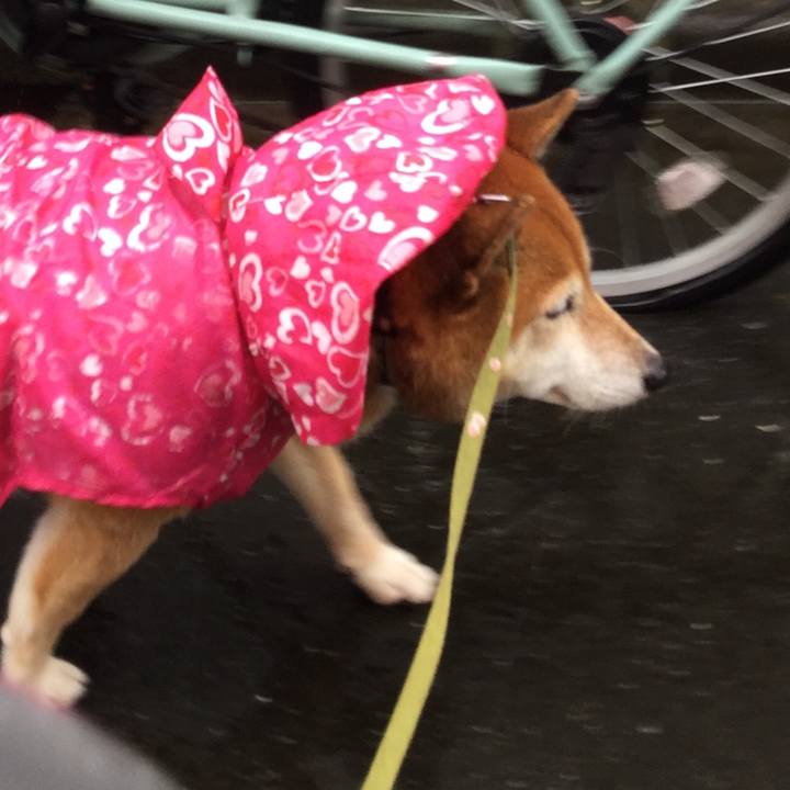 104d1c74 aec3 480a aa8a d6798a952010 1602372770082