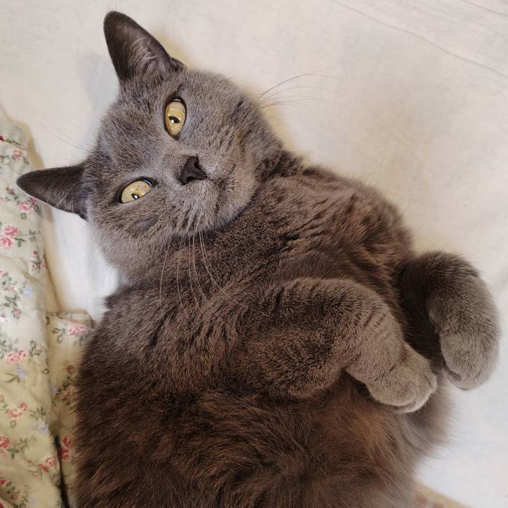 104d27b9 1d81 49bd a098 9f3fc23e8184 1771118609663