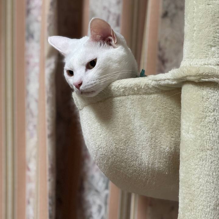 104d49a4 8156 4698 9815 e8dd0406fdbf 1762773710445