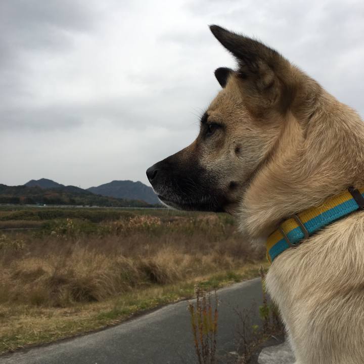 104d6b7b 9a30 4caa a4ff b62304436dd2 1512889017591