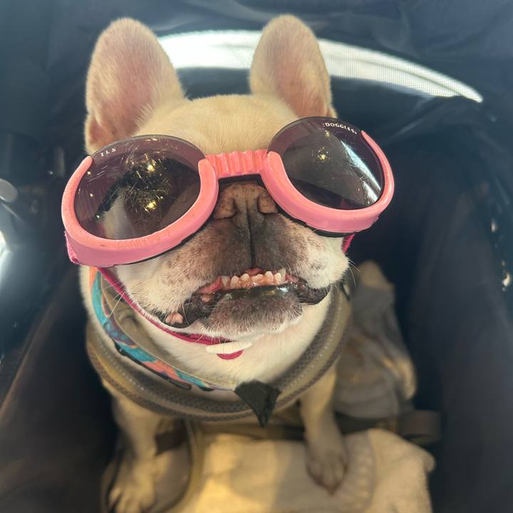 104dd4cf 691d 42e9 9030 5e939111bd9b 1757830572229