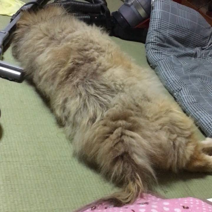 104dd4de a732 4623 b6de d900d17567fe 1551509059011