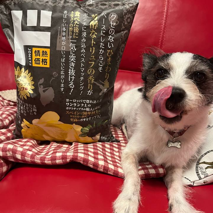 104de231 f170 4593 9b5f 09384b316d0e 1720709005747