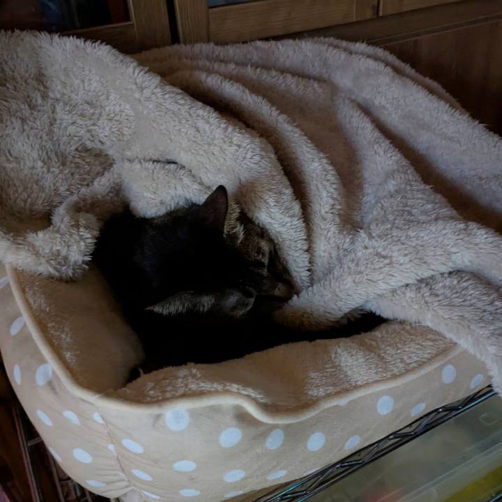 104e09bc 6bcf 43b9 9489 9b85ed0f049d 1761205482118