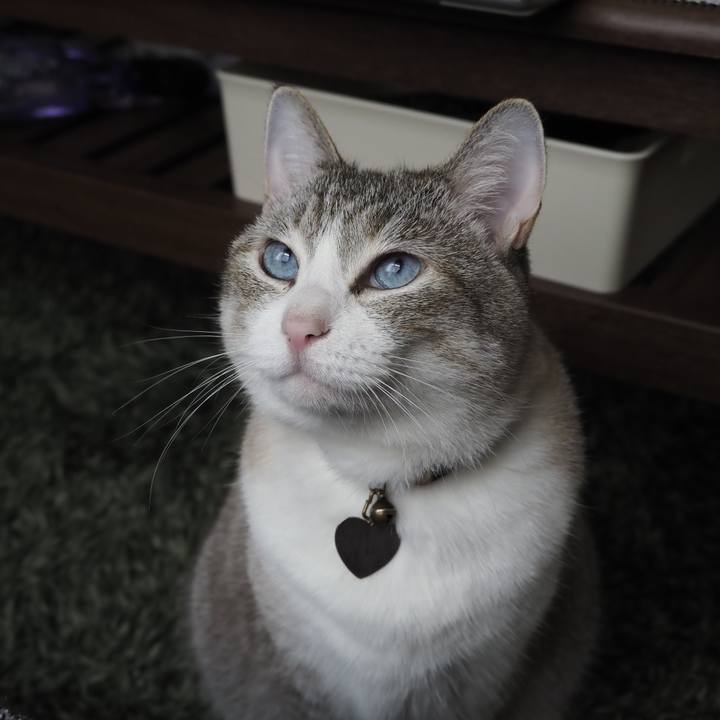 104e126b 92a3 4892 aee1 b18342c99047 1624525156385