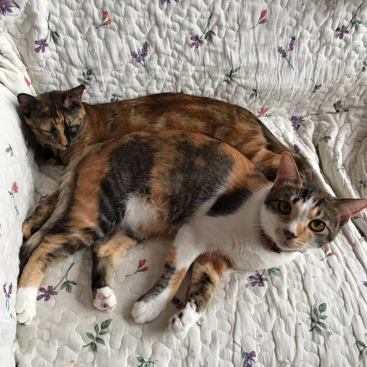 104e22aa c54d 45a9 be3f b29b24fbea1c 1632638584178