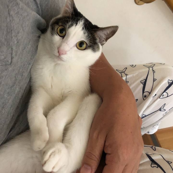 104e35bf b5e9 4b46 9098 8c0e60bec6a1 1629499883918