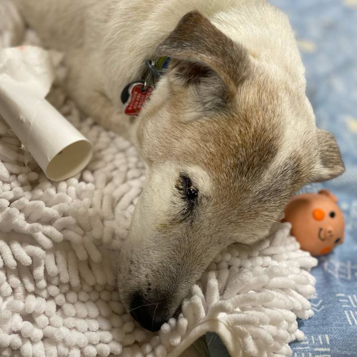 104e3b9b 4be2 4177 813b bfec647bda32 1719146526941